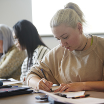 Th Langs Faglighed 9