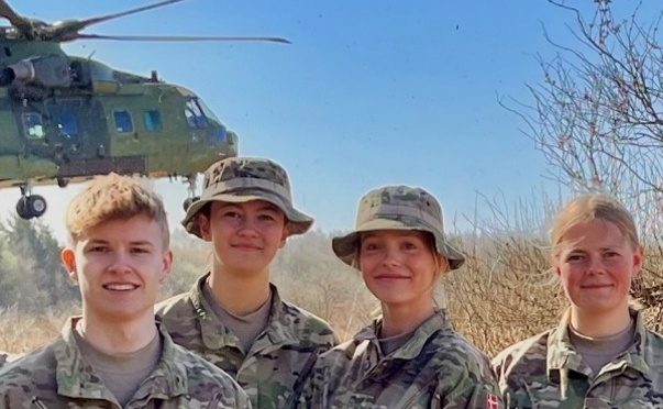 THL Force Linje 2 Web