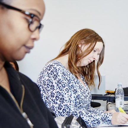 THL FVU Virksomhed Web